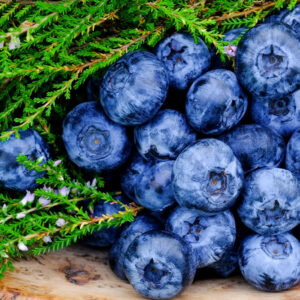 Hyperkalemia – Causes and Management Options